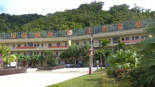 海南矿山逆袭记:从“生态伤疤”到“绿色高地”,这波操作太秀了!