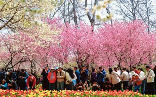 8.4亿人次!假日经济撬动全链条消费活力